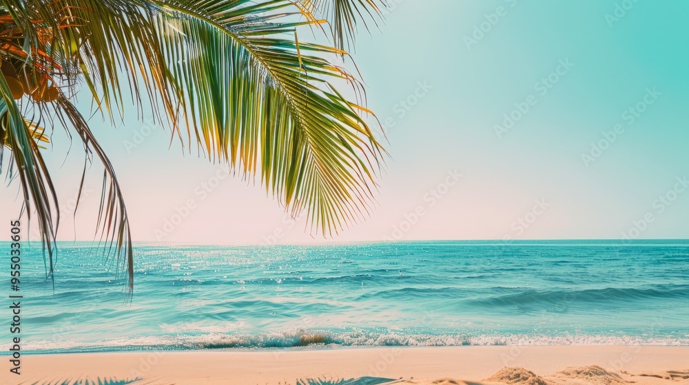 Obraz premium A palm tree is in front of the ocean