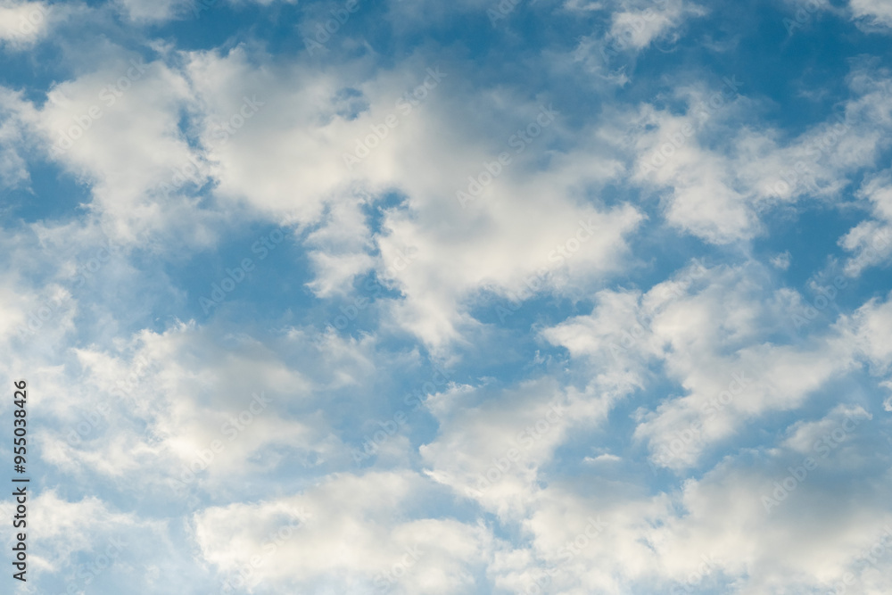 Fototapeta premium Cirrus clouds in the blue sky.