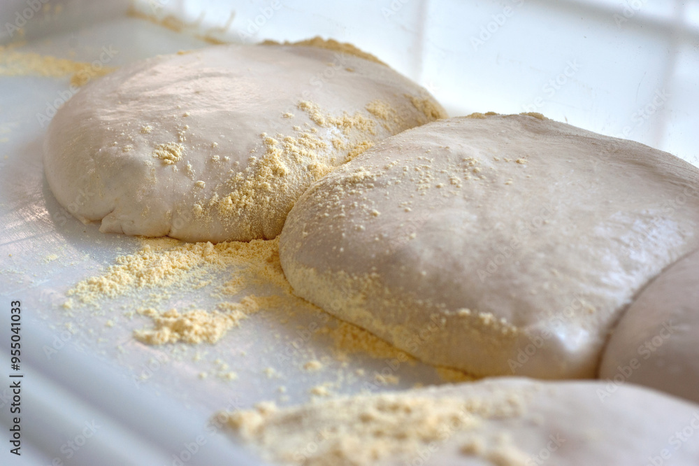 forming pizza blanks from fermented dough in a container forming pizza blanks from fermented dough in a container