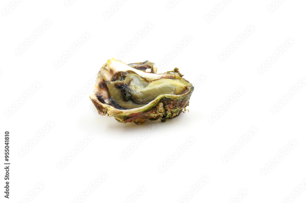 Fresh oysters isolated on a white background. Sea symptoms. Nourish the body. Fresh oysters isolated on a white background. Sea symptoms. Nourish the body.