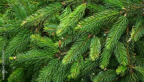  pine christmas and new year holiday green backdrop 