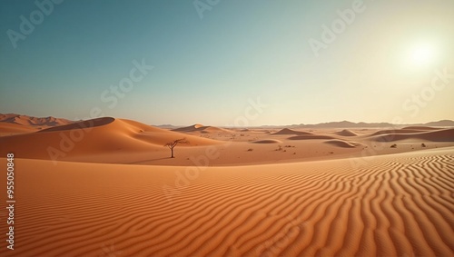 a sand dune with a single tree in the distance