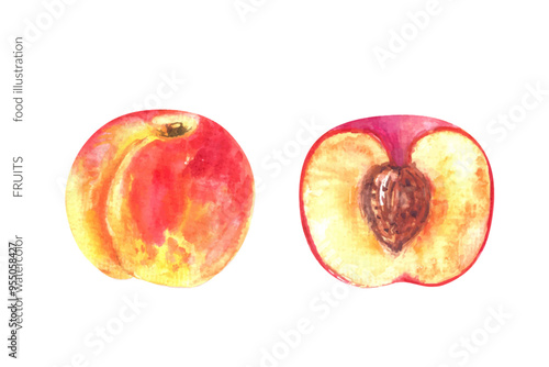 Vector watercolor peach whole and half cut fruit illustration. Tropical exotic fruit for food and drink background