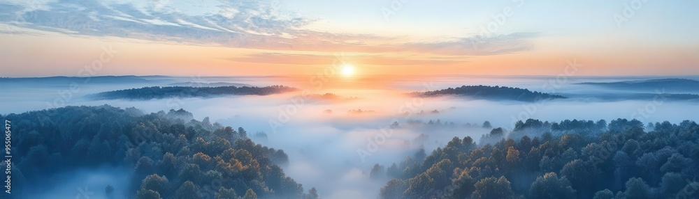 Sunrise over a misty forest, with a golden glow. Sunrise over a misty forest, with a golden glow.