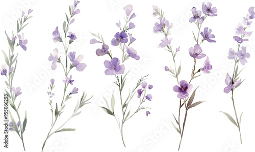 watercolor minimalistic floral clipart pastel colors, lavender