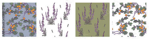 Set of seamless vintage patterns with lavender and orange trees
