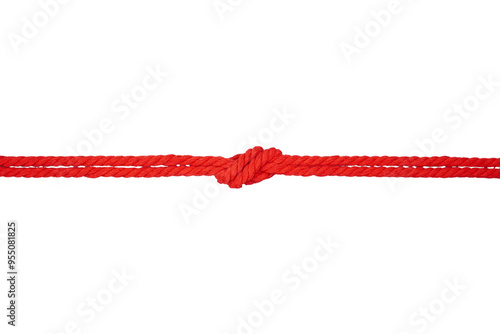 Knotted red rope isolated transparent