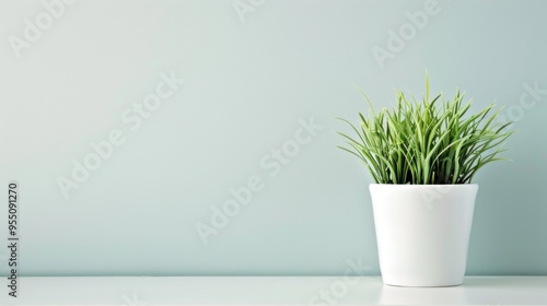 Green Plant in White Pot Against a Light Blue Wall