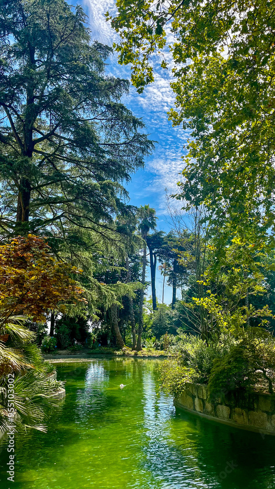 Artificial pond surrounded by lush plants and trees - shot on a sunny day in Porto, Portugal Artificial pond surrounded by lush plants and trees - shot on a sunny day in Porto, Portugal