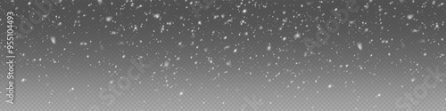 Christmas winter background from snowflakes blown by the wind on a background. White dust light png. Heavy snowfall, snowflakes in different shapes and forms.