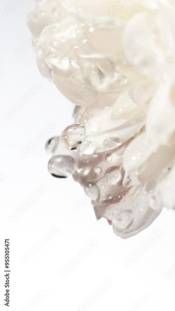 close-up of white rose petals with water droplets, exuding freshness and purity. Ideal as a background for cosmetic, wellness, and perfume products. close-up of white rose petals with water droplets, exuding freshness and purity. Ideal as a background for cosmetic, wellness, and perfume products.