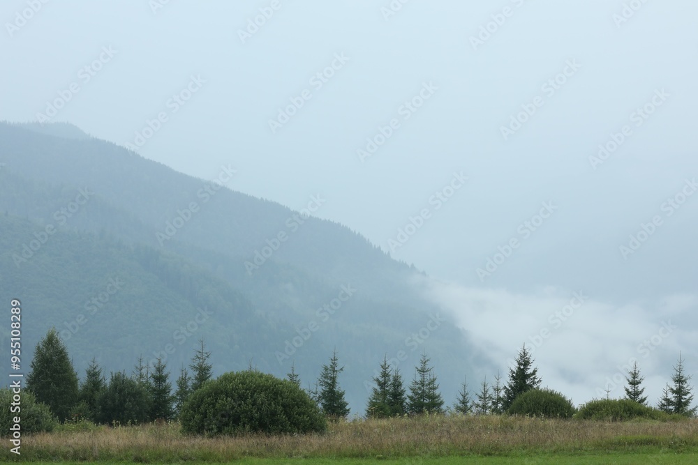 Fototapeta premium Picturesque view of beautiful mountains covered with fog