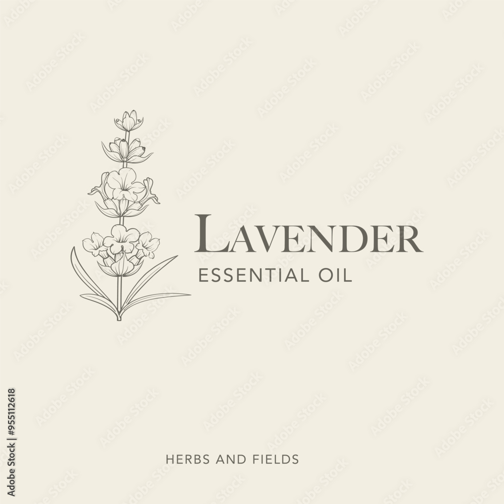 Lavender flower vector logo. Floral design label Lavender flower vector logo. Floral design label