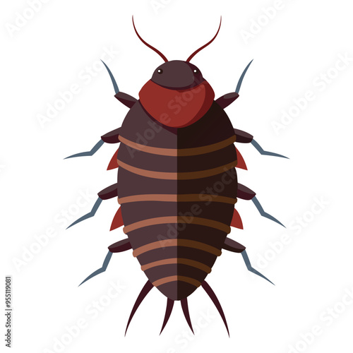 Illustration of woodlouse Isolated on white