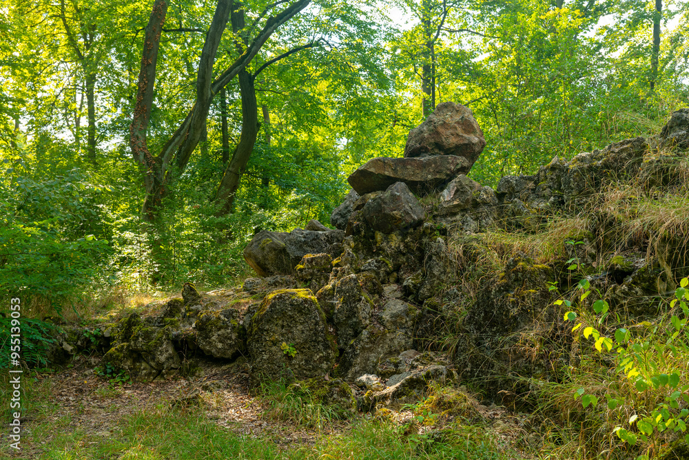 rock formation in a forest with moss growing on it rock formation in a forest with moss growing on it