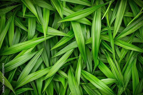 Green Leaves Texture Background