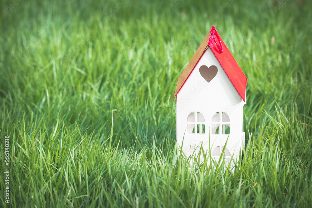 Miniature House with Red Roof on Green Grass: A Heartfelt Symbol of Home and Love Miniature House with Red Roof on Green Grass: A Heartfelt Symbol of Home and Love