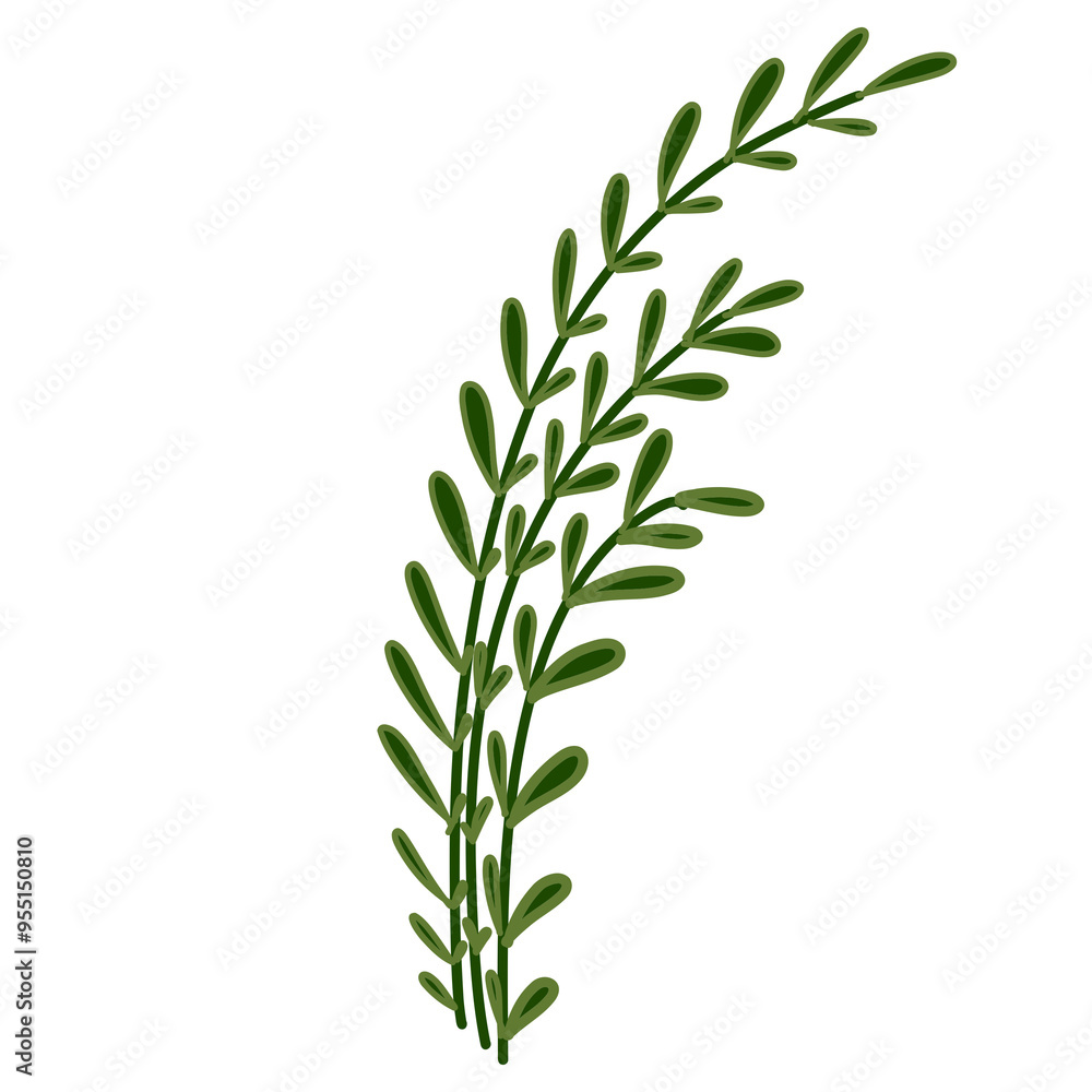 Fototapeta premium small green grass 