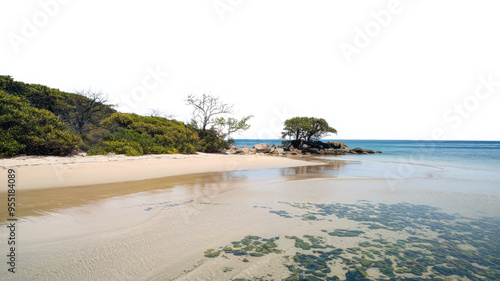 Isolated Beach With Vegetation Against A Transparent Background, Nature Landscape PNG Transparent photo