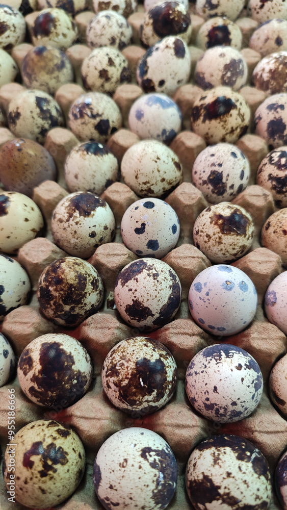 display of quail eggs on supermarket shelves, Quail eggs in cartons. display of quail eggs on supermarket shelves, Quail eggs in cartons.