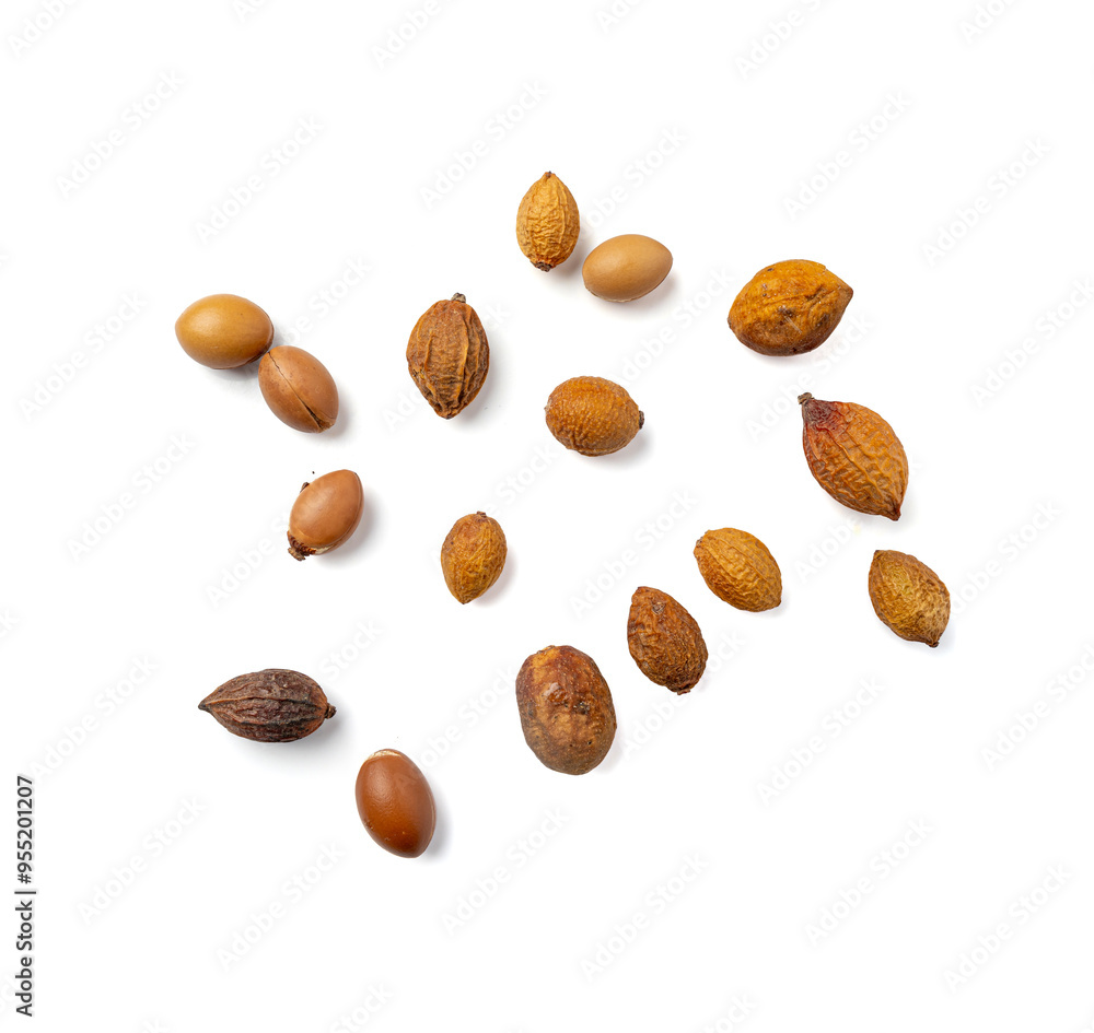 Argan Nuts Isolated, Argania Oil Seeds for Natural Organic Cosmetic, Skincare Argan Fruits Argan Nuts Isolated, Argania Oil Seeds for Natural Organic Cosmetic, Skincare Argan Fruits