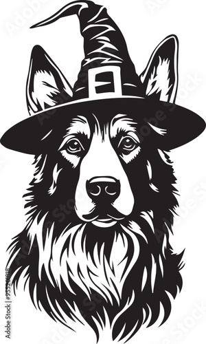 black and white halloween german shepherd dog wearing witch hat photo