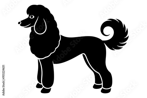 Poodle Dog Vector Illustration - Elegant and Intelligent Pet Clipart photo