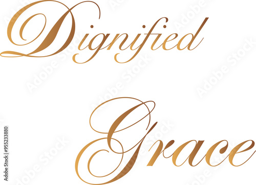 Dignified Grace T-Shirt Creative Design with Special Quote 