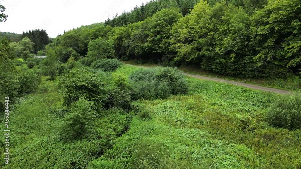 flying low over bushes trees green landscape countryside aerial flying low over bushes trees green landscape countryside aerial