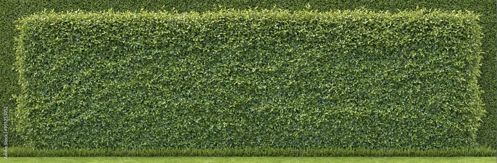 3D rendering large hedge hedge made up small Illustration of a b 3D rendering large hedge hedge made up small Illustration of a b