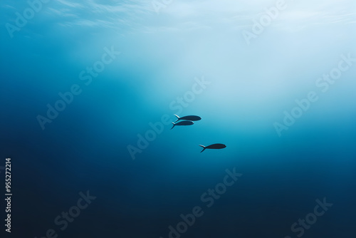 A small group of fish swimming through a blank, blue expanse.