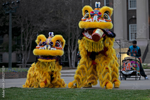 lunar new year dragons photo