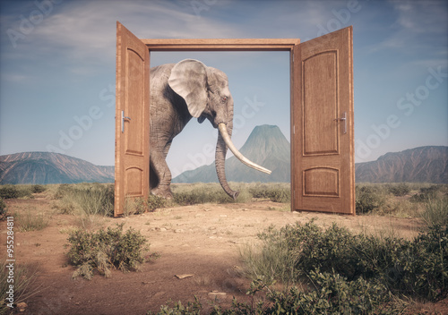 Photography The big elephant enters opened door .