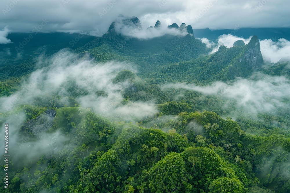 Misty Mountain Panorama from Above Misty Mountain Panorama from Above