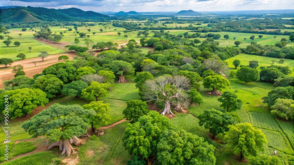 Aerial view of expansive green fields and trees. Aerial view of expansive green fields and trees.