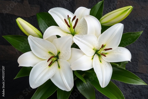 Lilies, with soft petals, velvety texture invite touch and admiration