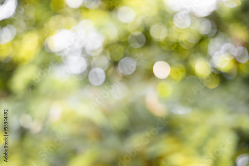 green blurred backdrop of nature, circle light wallpaper, white bokeh background