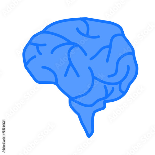 human brain illustration