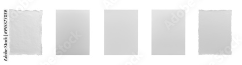 Set of classic white or gray paper with various surface textures to pick from. Transparent background PNG. Cutout collection of A4 sheets of a paper.