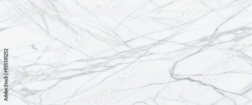 Luxury White Gray Marble texture background vector. Panoramic Marbling texture design for Banner, invitation, wallpaper, headers, website, print ads, packaging design template.italian marble