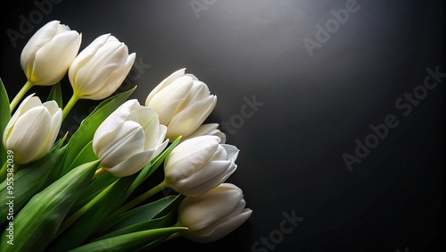 Silhouette of white tulips on black background for funeral announcement #955382039