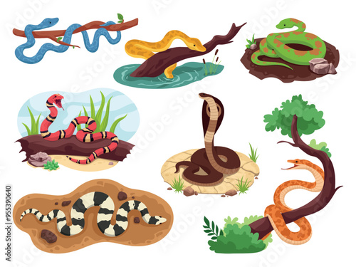 Snakes habitat. Snake on tree branch or in water wild nature, exotic reptile tropical serpent jungle danger creature anaconda python poisonous viper, ingenious vector illustration