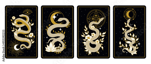 Mystical snakes cards. Magic snake bohemian tarot card, mystic serpent astrology esoteric ornament posters spiritual celestial witch elements print ingenious vector illustration