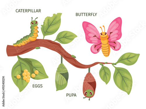 Cartoon caterpillar metamorphosis. Cute butterfly development, caterpillars life cycle biology transformation process pupa change chrysalis evolution, swanky vector illustration