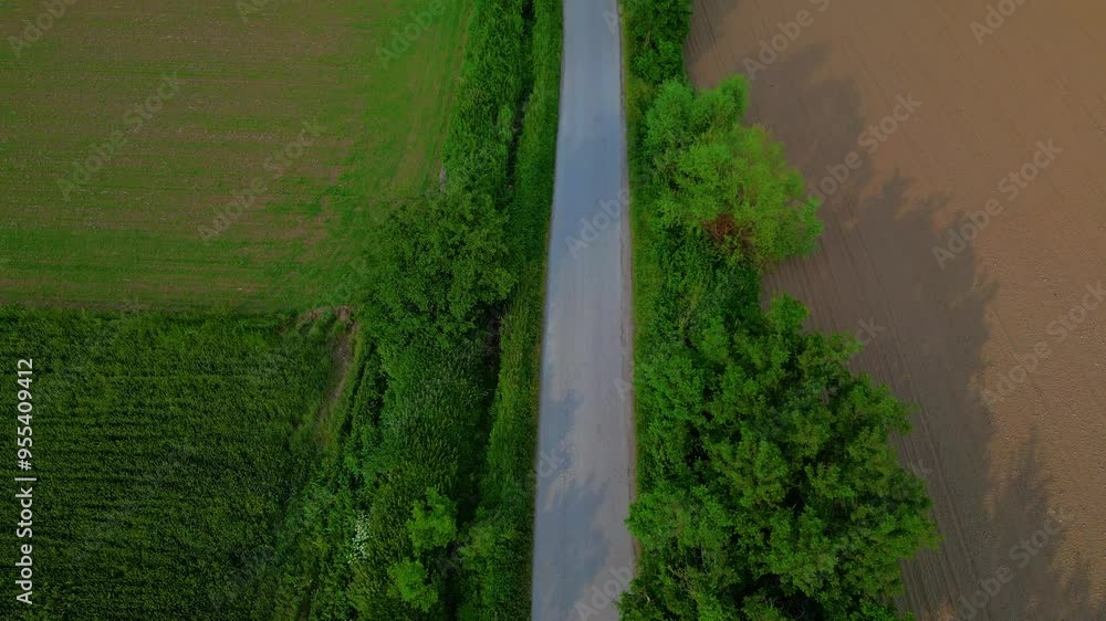 Aerial View of a Road Amidst Lush Greenery | Scenic Landscape
Aerial View of a Road Amidst Lush Greenery | Scenic Landscape