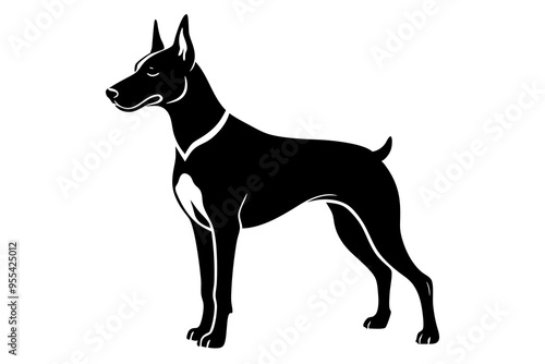 Doberman Pinscher Vector Illustration - Elegant Guard Dog Clipart photo