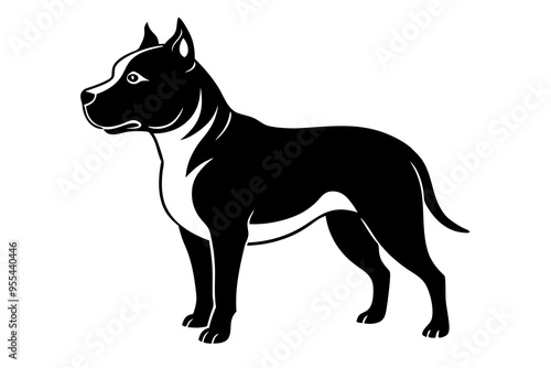 Staffordshire Bull Terrier Vector Illustration - Strong and Loyal Dog Clipart photo