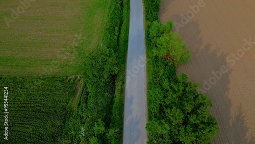 Aerial View of a Road Amidst Lush Greenery | Scenic Landscape

