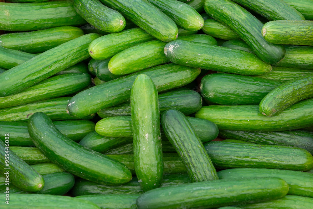 top view on cucumber as food background top view on cucumber as food background