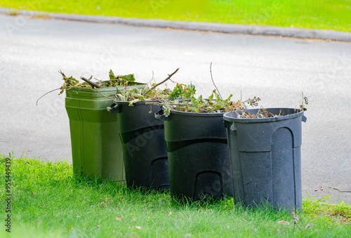 curbside yard waste collection, trash bin with branches